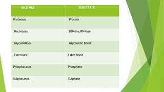 ENZYMES SUBSTRATE
Proteoses Protein
Nucleases DNAase,RNAase
Glycosidases Glycosidic Bond
Esterases Ester Bond
Phosphatases Phosphate
Sulphatases Sulphate
 