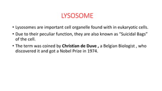 LYSOSOME
• Lysosomes are important cell organelle found with in eukaryotic cells.
• Due to their peculiar function, they are also known as “Suicidal Bags”
of the cell.
• The term was coined by Christian de Duve , a Belgian Biologist , who
discovered it and got a Nobel Prize in 1974.
 