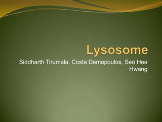 Lysosome SiddharthTirumala, Costa Demopoulos, SeoHee Hwang 