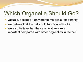 Which Organelle Should Go?Vacuole, because it only stores materials temporarilyWe believe that the cell could function without itWe also believe that they are relatively less important compared with other organelles in the cell