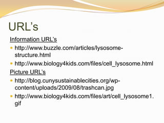 URL’sInformation URL’shttp://www.buzzle.com/articles/lysosome-structure.htmlhttp://www.biology4kids.com/files/cell_lysosome.htmlPicture URL’shttp://blog.cunysustainablecities.org/wp-content/uploads/2009/08/trashcan.jpghttp://www.biology4kids.com/files/art/cell_lysosome1.gif