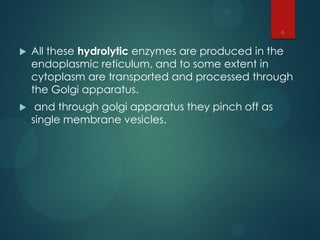  All these hydrolytic enzymes are produced in the
endoplasmic reticulum, and to some extent in
cytoplasm are transported and processed through
the Golgi apparatus.
 and through golgi apparatus they pinch off as
single membrane vesicles.
6
 