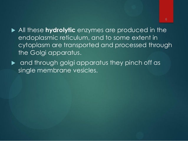 Lysosomes