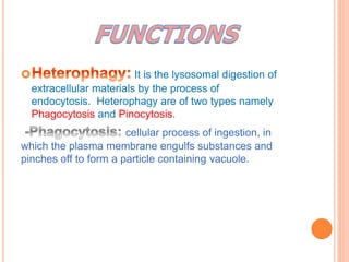 Lysosomes