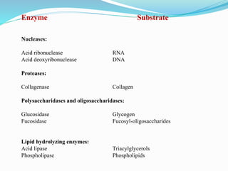 Enzyme Substrate
Nucleases:
Acid ribonuclease RNA
Acid deoxyribonuclease DNA
Proteases:
Collagenase Collagen
Polysaccharidases and oligosaccharidases:
Glucosidase Glycogen
Fucosidase Fucosyl-oligosaccharides
Lipid hydrolyzing enzymes:
Acid lipase Triacylglycerols
Phospholipase Phospholipids
 