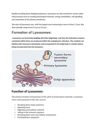 Besides breaking down biological polymers, lysosomes are also involved in various other
cell processes such as counting discharged materials, energy metabolism, cell signalling,
and restoration of the plasma membrane.
The sizes of lysosomes vary, with the largest ones measuring in more at than 1.2 μm. But
they typically range from 0.1 μm to 0.6 μm.
Formation of Lysosomes:
Lysosomes are formed by budding off of the Golgi body, and thus the hydrolytic enzymes
contained within them are produced within the endoplasmic reticulum. The catalysts are
labeled with mannose-6-phosphate and transported to the Golgi body in vesicles before
being incorporated into the lysosomes.
Function of Lysosomes:
The primary function of lysosomes in the cell is to break down materials. Lysosomes
serve many purposes in the cell, such as:
 Breaking down larger polymers
 Digesting food
 Digesting extracellular material
 Aiding in the immune response
 Breaking down worn out cellular components
 Participating in apoptosis
 