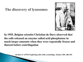 In 1955, Belgian scientist Christian de Duve observed that
the cells released an enzyme called acid phosphatase in
much larger amounts when they were repeatedly frozen and
thawed before centrifugation
de Duve C (1975) Exploring cells with a centrifuge. Science 189, 186-194
 