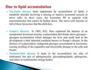  Tay-Sachs disease: brain impairment by accumulation of lipids. a
metabolic disorder involving a missing or inactive lysosomal enzyme in
nerve cells. In these cases, the lysosomes fill to capacity with
macromolecules that cannot be broken down. The nerve cells become so
full of these lysosomes that the child dies.
 Pompe’s disease: In 1965, H.G. Hers explained the absence of an
unimportant lysosomal enzyme, α-glucosidase that breaks down glycogen -
glycogen accumulation which damages the liver and could lead to the
development a fatal inherited condition known as Pompe’s disease. In the
absence of α-glucosidase, undigested glycogen accumulated in lysosomes,
causing swelling of the organelles and irreversible damage to the cells and
tissues.
 Niemann-Pick disease: It leads to the accumulation not only of
cholesterol, but also of sphingomyelin, glycosphingolipids, sphingosine,
and others in multilamellar storage bodies
 