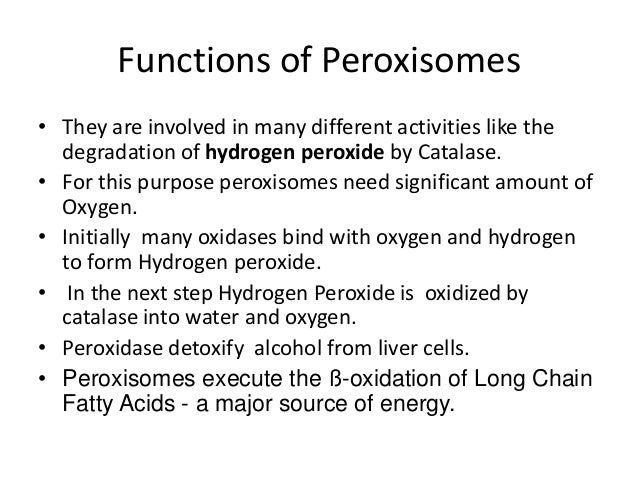 What Is The Function Of A Peroxisome - slideshare