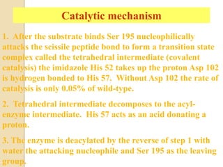 Catalytic mechanism
1. After the substrate binds Ser 195 nucleophilically
attacks the scissile peptide bond to form a transition state
complex called the tetrahedral intermediate (covalent
catalysis) the imidazole His 52 takes up the proton Asp 102
is hydrogen bonded to His 57. Without Asp 102 the rate of
catalysis is only 0.05% of wild-type.
2. Tetrahedral intermediate decomposes to the acyl-
enzyme intermediate. His 57 acts as an acid donating a
proton.
3. The enzyme is deacylated by the reverse of step 1 with
water the attacking nucleophile and Ser 195 as the leaving
group.
 