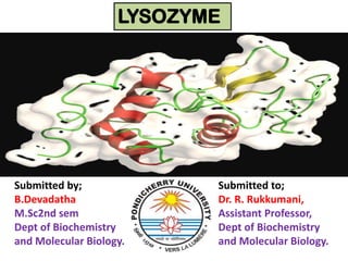 Submitted by;
B.Devadatha
M.Sc2nd sem
Dept of Biochemistry
and Molecular Biology.
Submitted to;
Dr. R. Rukkumani,
Assistant Professor,
Dept of Biochemistry
and Molecular Biology.
LYSOZYME
 