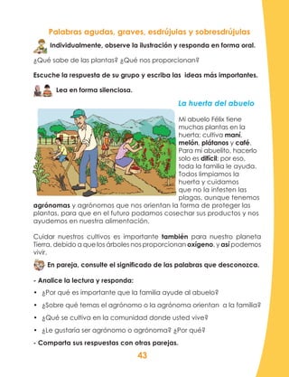 43
Palabras agudas, graves, esdrújulas y sobresdrújulas
Individualmente, observe la ilustración y responda en forma oral.
¿Qué sabe de las plantas? ¿Qué nos proporcionan?
Escuche la respuesta de su grupo y escriba las ideas más importantes.
Lea en forma silenciosa.
La huerta del abuelo
Mi abuelo Félix tiene
muchas plantas en la
huerta; cultiva maní,
melón, plátanos y café.
Para mi abuelito, hacerlo
solo es difícil; por eso,
toda la familia le ayuda.
Todos limpiamos la
huerta y cuidamos
que no la infesten las
plagas, aunque tenemos
agrónomas y agrónomos que nos orientan la forma de proteger las
plantas, para que en el futuro podamos cosechar sus productos y nos
ayudemos en nuestra alimentación.
Cuidar nuestros cultivos es importante también para nuestro planeta
Tierra, debido a que los árboles nos proporcionan oxígeno, y así podemos
vivir.
En pareja, consulte el significado de las palabras que desconozca.
- Analice la lectura y responda:
•	 ¿Por qué es importante que la familia ayude al abuelo?
•	 ¿Sobre qué temas el agrónomo o la agrónoma orientan a la familia?
•	 ¿Qué se cultiva en la comunidad donde usted vive?
•	 ¿Le gustaría ser agrónomo o agrónoma? ¿Por qué?
- Comparta sus respuestas con otras parejas.
 