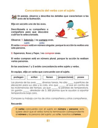 81
Concordancia del verbo con el sujeto
En pareja, observe y describa los detalles que caracterizan a las
aves de la ilustración.
Elija en secreto una de las aves.
Descríbasela a su compañero o
compañera para que descubra
cuál fue la seleccionada.
Observe: 1. Salomón / no compra aves.
El verbo compra está en número singular, porque la acción la realiza una
sola persona.
2. Esperanza, Rosa y Pepe / no compran aves.
El verbo compran está en número plural, porque la acción la realizan
varias personas.
En las oraciones 1 y 2 existe concordancia entre sujeto y verbo.
En equipo, elija un verbo que concuerde con el sujeto.
protegen evitan tienen proporcionan posee
Las plumas de las aves diversas tareas. No sólo superficies de
elevación para sus alas y la cola, sino que al ave en contra de
las inclemencias del tiempo, ya que la pérdida de temperatura.
Un gorrión alrededor de 3, 500 plumas que le ayudan a soportar
temperaturas bajo cero.
Compare su trabajo con los de otros compañeros y otras compañeras.
Recuerde:
El verbo concuerda con el sujeto en número y persona; esto
quiere decir que el verbo toma la terminación correspondiente
al número y la persona del sujeto: yo salto, nosotros saltamos.
sujeto verbo
 
