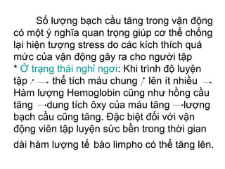 Số lượng bạch cầu tăng trong vận động 
có một ý nghĩa quan trọng giúp cơ thể chống 
lại hiện tượng stress do các kích thích quá 
mức của vận động gây ra cho người tập 
* Ở trạng thái nghỉ ngơi: Khi trình độ luyện 
tập thể tích máu chung lên ít nhiều 
Hàm lượng Hemoglobin cũng như hồng cầu 
tăng dung tích ôxy của máu tăng lượng 
bạch cầu cũng tăng. Đặc biệt đối với vận 
động viên tập luyện sức bền trong thời gian 
dài hàm lượng tế bào limpho có thể tăng lên. 
 