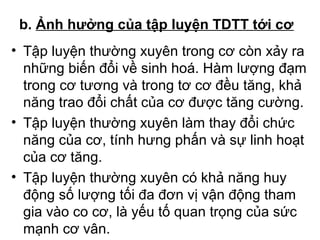 b. Ảnh hưởng của tập luyện TDTT tới cơ 
• Tập luyện thường xuyên trong cơ còn xảy ra 
những biến đổi về sinh hoá. Hàm lượng đạm 
trong cơ tương và trong tơ cơ đều tăng, khả 
năng trao đổi chất của cơ được tăng cường. 
• Tập luyện thường xuyên làm thay đổi chức 
năng của cơ, tính hưng phấn và sự linh hoạt 
của cơ tăng. 
• Tập luyện thường xuyên có khả năng huy 
động số lượng tối đa đơn vị vận động tham 
gia vào co cơ, là yếu tố quan trọng của sức 
mạnh cơ vân. 
videovideoplayback_4.flv 
 