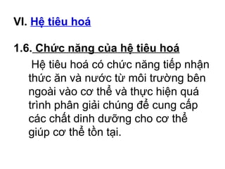 VI. Hệ tiêu hoá 
1.6. Chức năng của hệ tiêu hoá 
Hệ tiêu hoá có chức năng tiếp nhận 
thức ăn và nước từ môi trường bên 
ngoài vào cơ thể và thực hiện quá 
trình phân giải chúng để cung cấp 
các chất dinh dưỡng cho cơ thể 
giúp cơ thể tồn tại. 
 