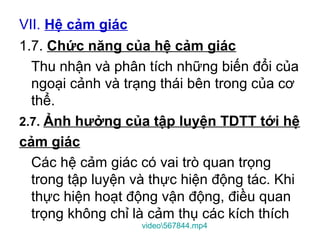 VII. Hệ cảm giác 
1.7. Chức năng của hệ cảm giác 
Thu nhận và phân tích những biến đổi của 
ngoại cảnh và trạng thái bên trong của cơ 
thể. 
2.7. Ảnh hưởng của tập luyện TDTT tới hệ 
cảm giác 
Các hệ cảm giác có vai trò quan trọng 
trong tập luyện và thực hiện động tác. Khi 
thực hiện hoạt động vận động, điều quan 
trọng không chỉ là cảm thụ các kích thích 
video567844.mp4 
 