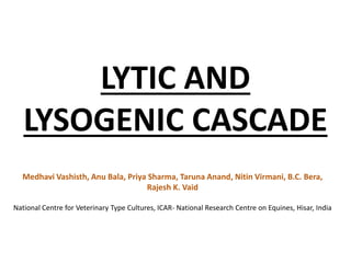 LYTIC AND
LYSOGENIC CASCADE
Medhavi Vashisth, Anu Bala, Priya Sharma, Taruna Anand, Nitin Virmani, B.C. Bera,
Rajesh K. Vaid
National Centre for Veterinary Type Cultures, ICAR- National Research Centre on Equines, Hisar, India
 