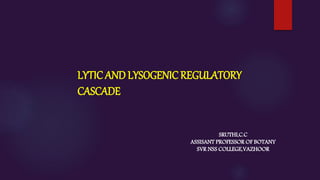 LYTIC AND LYSOGENIC REGULATORY
CASCADE
SRUTHI,C.C
ASSISANT PROFESSOR OF BOTANY
SVR NSS COLLEGE,VAZHOOR
 