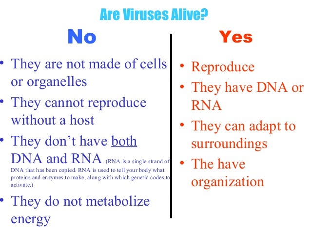😍 Is a virus alive. Are Viruses Alive?. 2019-03-05