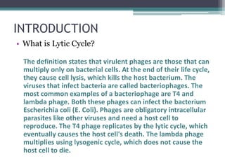 INTRODUCTION
• What is Lytic Cycle?
The definition states that virulent phages are those that can
multiply only on bacterial cells. At the end of their life cycle,
they cause cell lysis, which kills the host bacterium. The
viruses that infect bacteria are called bacteriophages. The
most common examples of a bacteriophage are T4 and
lambda phage. Both these phages can infect the bacterium
Escherichia coli (E. Coli). Phages are obligatory intracellular
parasites like other viruses and need a host cell to
reproduce. The T4 phage replicates by the lytic cycle, which
eventually causes the host cell's death. The lambda phage
multiplies using lysogenic cycle, which does not cause the
host cell to die.
 