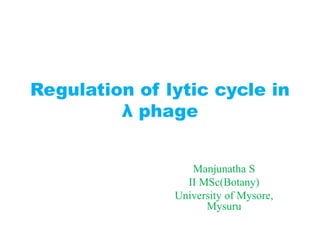 Regulation of lytic cycle in
λ phage
Manjunatha S
II MSc(Botany)
University of Mysore,
Mysuru
 