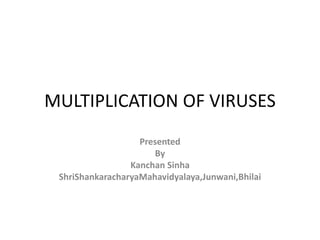 MULTIPLICATION OF VIRUSES
Presented
By
Kanchan Sinha
ShriShankaracharyaMahavidyalaya,Junwani,Bhilai
 
