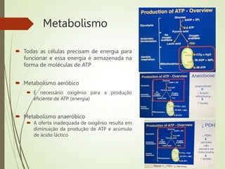 Metabolismo
 Todas as células precisam de energia para
funcionar e essa energia é armazenada na
forma de moléculas de ATP
 Metabolismo aeróbico
 É necessário oxigênio para a produção
eficiente de ATP (energia)
 Metabolismo anaeróbico
 A oferta inadequada de oxigênio resulta em
diminuição da produção de ATP e acúmulo
de ácido láctico
 