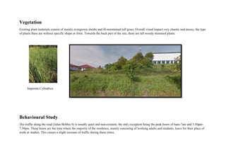 Vegetation
Existing plant materials consist of mainly overgrown shrubs and ill-maintained tall grass. Overall visual impact very chaotic and messy, the type
of plants there are without specific shape or form. Towards the back part of the site, there are tall woody stemmed plants.
Behavioural Study
The traffic along the road (Jalan Belibis 6) is usually quiet and non-existent, the only exception being the peak hours of 6am-7am and 5.30pm-
7.30pm. These hours are the time where the majority of the residence, mainly consisting of working adults and students, leave for their place of
work or studies. This causes a slight increase of traffic during these times.
Imperata Cylindrica
 