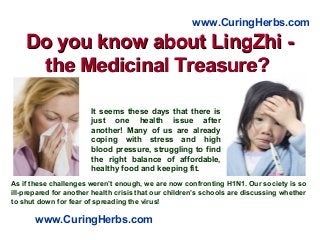 Do you know about LingZhi -Do you know about LingZhi -
the Medicinal Treasure?the Medicinal Treasure?
As if these challenges weren’t enough, we are now confronting H1N1. Our society is so
ill-prepared for another health crisis that our children’s schools are discussing whether
to shut down for fear of spreading the virus!
www.CuringHerbs.com
www.CuringHerbs.com
It seems these days that there is
just one health issue after
another! Many of us are already
coping with stress and high
blood pressure, struggling to find
the right balance of affordable,
healthy food and keeping fit.
 