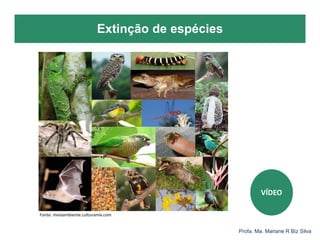 Extinção de espécies
Profa. Ma. Mariane R Biz Silva
VÍDEO
Fonte: meioambiente.culturamix.com
 