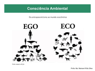 Consciência Ambiental
Profa. Ma. Mariane R Biz Silva
Fonte: www.ie.ufrj.br
 