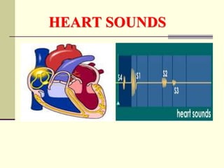 HEART SOUNDS
 