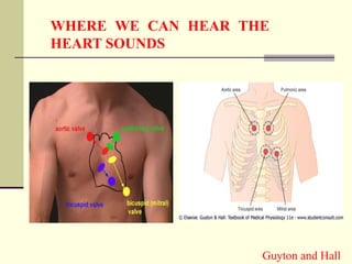 WHERE WE CAN HEAR THE
HEART SOUNDS
Guyton and Hall
 