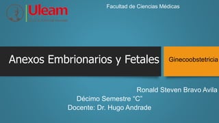 Anexos Embrionarios y Fetales
Ronald Steven Bravo Avila
Décimo Semestre “C”
Docente: Dr. Hugo Andrade
Facultad de Ciencias Médicas
Ginecoobstetricia
 