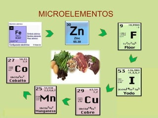 Microelemente MINERALES.pptx