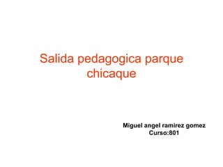 Salida pedagogica parque chicaque Miguel angel ramirez gomez Curso:801 