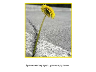 Кулыны котьку вуод...улыны ву!улыны!   