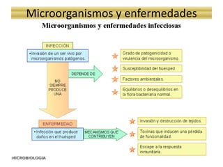 Microorganismos y enfermedades
 