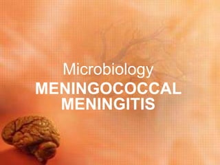 Microbiology
MENINGOCOCCAL
MENINGITIS
 