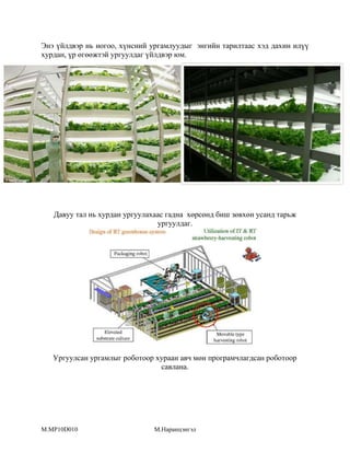 Энэ үйлдвэр нь ногоо, хүнсний ургамлуудыг энгийн тарилтаас хэд дахин илүү
хурдан, үр өгөөжтэй ургуулдаг үйлдвэр юм.

Давуу тал нь хурдан ургуулахаас гадна хөрсөнд биш зөвхөн усанд тарьж
ургуулдаг.

Ургуулсан ургамлыг роботоор хураан авч мөн програмчлагдсан роботоор
савлана.

M.MP10D010

М.Наранцэнгэл

 