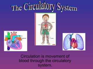 Circulation is movement of
blood through the circulatory
system.

 