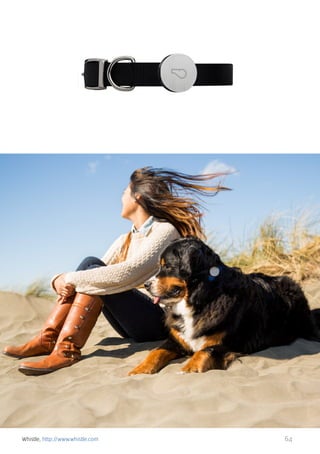 Whistle, http://www.whistle.com

64

 