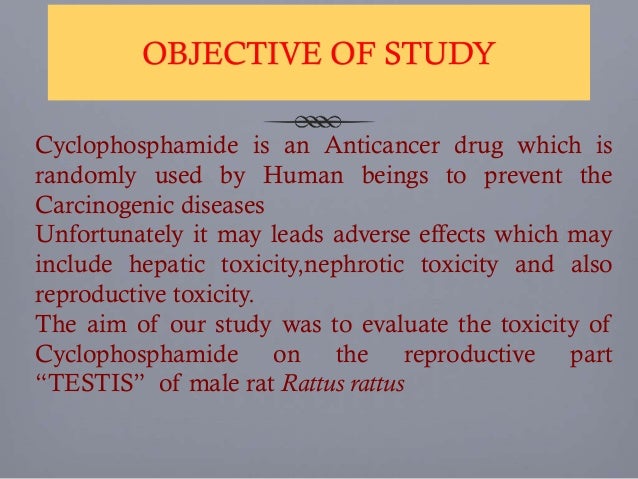 effect of cyclophosphamide on testis of rat effect of cyclophosphamide on testis of rat