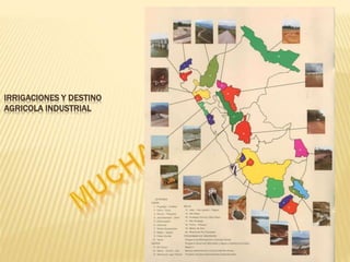 Rol de los Gobiernos Regionales y Locales en la Promocion del ...