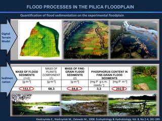 FLOOD PROCESSES IN THE PILICA FLOODPLAIN
Digital
Terrain
Model
Quantification of flood sedimentation on the experimental floodplain
MASS OF FLOOD
SEDIMENTS
(1+2)
MASS OF
PLANTS
COMPONENT
(1)
MASS OF FINE-
GRAIN FLOOD
SEDIMENTS
(2)
PHOSPHORUS CONTENT IN
FINE-GRAIN FLOOD
SEDIMENTS
[g m-2] [g m-2] [g m-2] [mg P g s.m.
osadu-1]
[mg P m-2]
153,1 68,3 84,8 3,3 202,9
Sedimen
-tation
Kiedrzyńska E., Kiedrzyński M., Zalewski M., 2008. Ecohydrology & Hydrobiology, Vol. 8, No 2-4, 281-289.
 