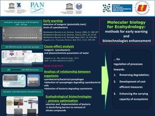 Molecular biology
for Ecohydrology:
methods for early warning
and
biotechnologies enhancement
Cause-effect analysis
toxigenic cyanobacteria
and physicochemicla parameters of water
Analisys of relationship between
organisms
cyanobacteria/bacteria/cyanophages
•detection of cyanophages degrading cyanobacterial
cells
•detection of bacteria degrading cyanotoxins
mcyA gene, toxic genotype of M aeruginosa
(291 – 297 bp)
16S rRNA Microcystis, mcyA toxic genotype
g91 Myoviridae , 16S rRNA Aeromonas
Early warning
detection of toxigenic (potentially toxic)
strain of cyanobacteria
… for
regulation of processes
towards:
1. Rreversing degradation;
2. Development of cost
efficient measures
3. Enhancing the carrying
capacity of ecosystems
nosZ gene, culturable bacteria, Pseudomonas sp.
New reserach
Gagała et al., Microbial Ecology, 2013,
DOI: 10.1007/s00248-013-0303-3
Mankiewicz-Boczek et al., Environ. Toxicol. 2006, 21: 380-387
Mankiewicz-Boczek et al., Environ, Toxicol. 2011, 26, 10-20
Mankiewicz-Boczek et al., Harmful Algae 2011, 10: 356-365
Gagała et al., Fresenius Environ. Bull 2012, 21(2): 295-303
Ecohydrological biotechnologies
- process optimization
selection and implementation of bacteria
in denitrifying barriers to removal of
nitrate compounds
 
