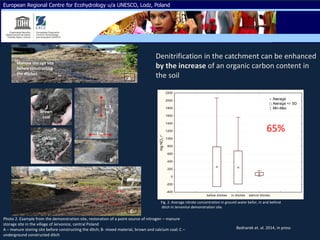 1 m
1, 3
mbrown
coal
calcium
coal
Manure storage site
before constructing
the ditches
A
C
B
Photo 2. Example from the demonstration site, restoration of a point source of nitrogen – manure
storage site in the village of Jervonice, central Poland
A – manure storing site before constructing the ditch; B- mixed material, brown and calcium coal; C –
underground constructed ditch
before ditches in ditches behind ditches
-400
-200
0
200
400
600
800
1000
1200
1400
1600
1800
2000
2200
mgNO3l-1
Average
Average +/- SD
Min-Max
Fig. 2. Average nitrate concentration in ground water befor, in and behind
ditch in Jervonice demonstration site.
Denitrification in the catchment can be enhanced
by the increase of an organic carbon content in
the soil
65%
Bednarek et. al. 2014, in press
European Regional Centre for Ecohydrology u/a UNESCO, Lodz, Poland
 