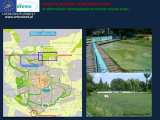 LIFE08 ENV/PL/000517
www.arturowek.pl
ZAKWITY GLONÓW I TOKSYCZNYCH SINIC
w zbiornikach rekreacyjnych na terenie miasta Łodzi
Stawy Stefańskiego, 2006
prototyp SSSB* skonstruowany
na rzece Sokołówce,
projekt SWITCH
*Sekwencyjny System Sedymentacyjno-Biofiltracyjny (patent ERCE)
wariantowe rozwiązania SSSB*
skonstruowane na rzece Bzurze
w Arturówku,
projekt EH-REK
Stawy Stefańskiego
Stawy Jana
Stawy Stefańskiego, 2007
 