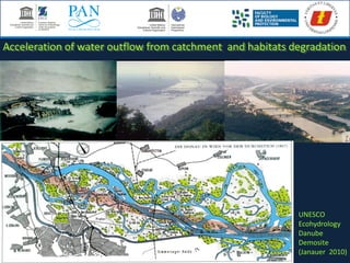 Acceleration of water outflow from catchment and habitats degradation
UNESCO
Ecohydrology
Danube
Demosite
(Janauer 2010)
 